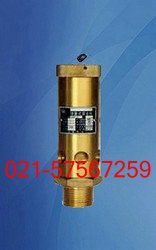 a28x 16t空压机专用铜安全阀