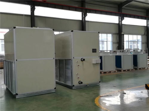 朔州加工立式直膨式空调机组免费咨询 瑞尼森环保